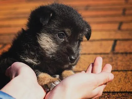 All About Being Compassionate