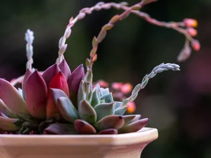 All About The Chakra Colors