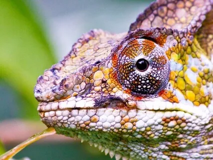 All About Words: Exploring Eye Contact