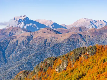 All About Worry, Anxiety & Panic