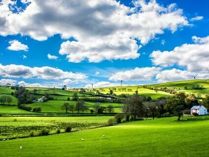 All Around The World, Ambient New Age Instrumental