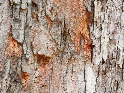 Welcoming All Aspects Of The Self