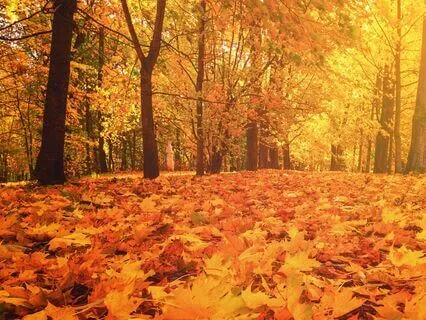 All Hallow's Eve In Bretagne