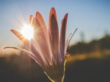 All Is Light Positive Grateful Affirmation Meditation