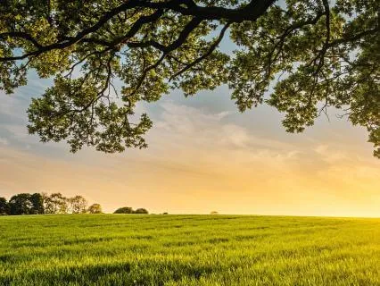 All Is Well | A 5 Minute Meditation