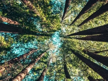 All Is Well - Meditation For Turmoil And Uncertainty