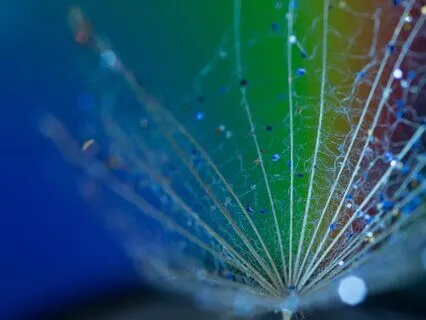 All Levels Daily Reiki: Reiki Through The Chakras