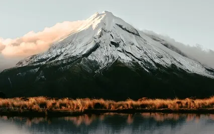 All Natural High & Serotonin Vibes