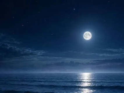 All Night Ambience — Drifting Back To Sleep