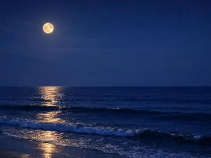 All Night Ambience for Rest — Harp & Ocean Night