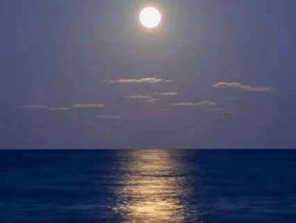 All-Night Mermaid Ocean Lullaby for Deep Sleep (9 Hours)