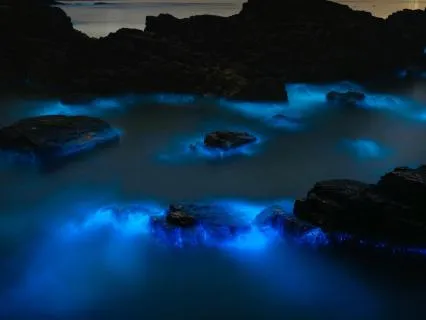 All Night Ocean Waves For Deep Sleep | 8hours+