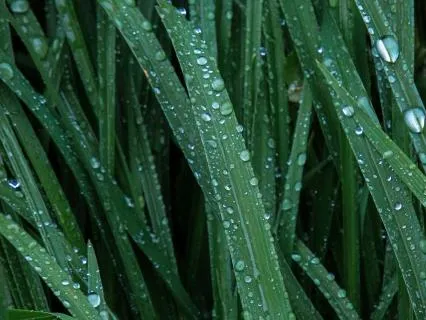 All Night Rainfall | 9 Hours for Deep Sleep