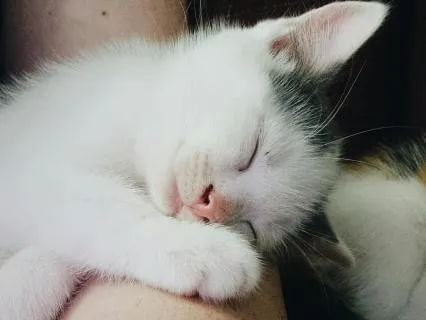 All Night Comforting Wisdom For Deep Sleep - 8 Hours Looped