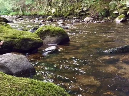 All-Night River Sounds For Sleep With Brief Guidance