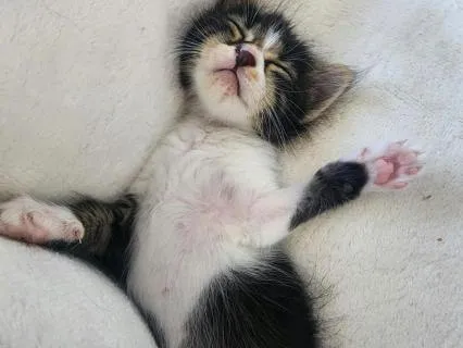 All Night Sleep: Letting Go Of Anxiety | 8 Hours