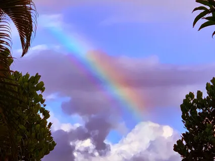 All Of Life Is A Hymn To Love