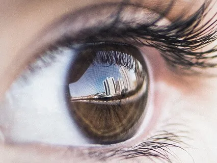 All Of Us Are The Same Song