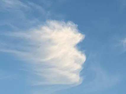 All Of Your Experiences Are Accepted Here