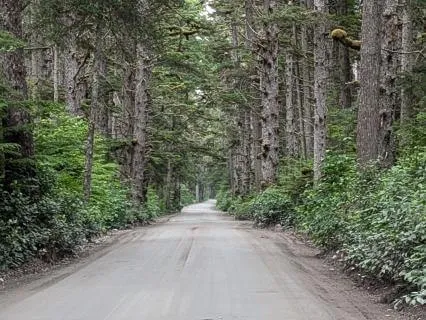 All Paths Lead To Him