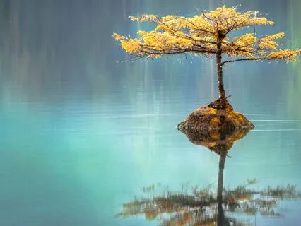 All-Pervading Silence: A Zen View