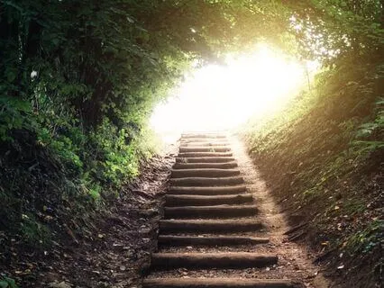 All That Arises Passes: Know This & Be Free