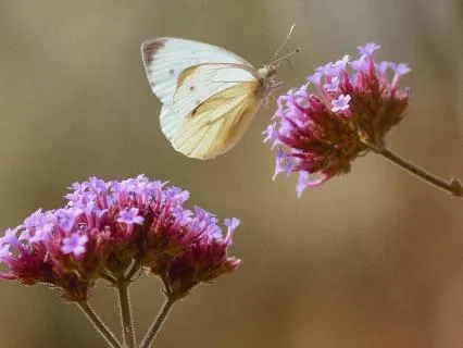 All The Answers Are Within You