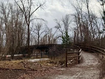 All The Versions Of Ourselves