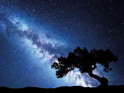 All We Have Is Today