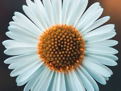 All You Need - Day 312 Of 365 In 2023