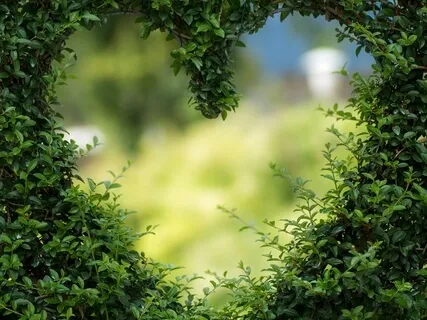 All You Need Is Love (528Hz)