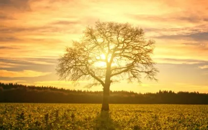 All You Need To Be - A Deep Soul Meditation