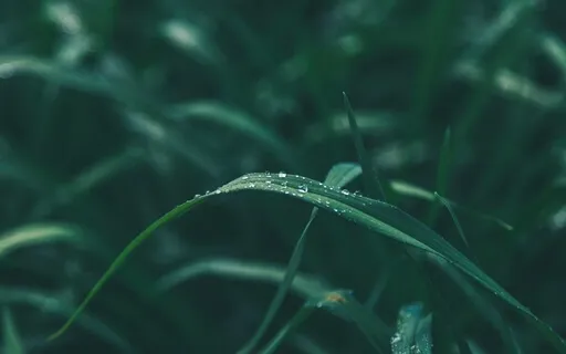 Alleviate Anxiety With A 528Hz Solfeggio Music