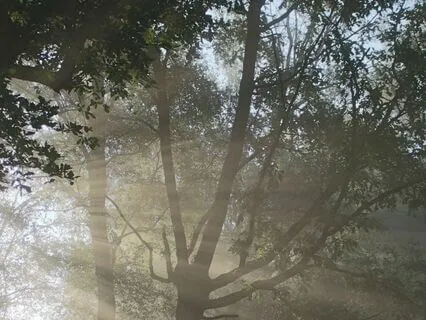 Alleviate Stress Full 20-Minute Meditation