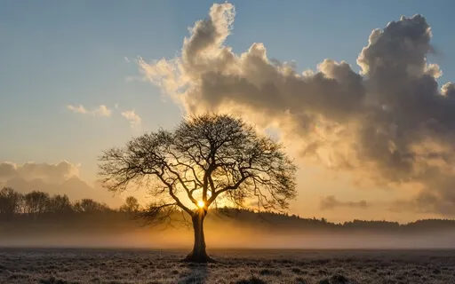 Alleviating The Feeling Of Loneliness