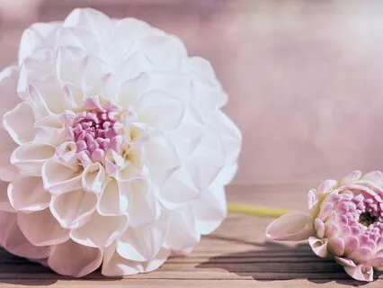 Allow Consciousness To Move Inwards