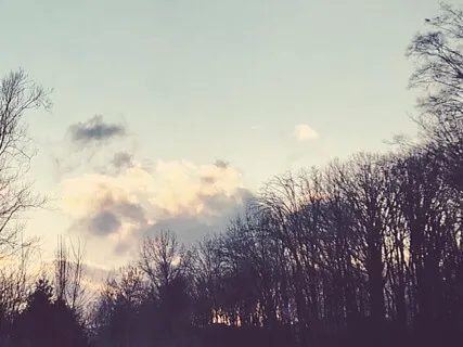 Allow, Let Go, & Inspire