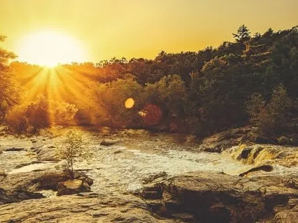 Allow, Let Go, Nurture