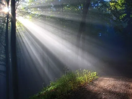 Allow Light To Cleanse Your Energy With Love - 2.19.2021