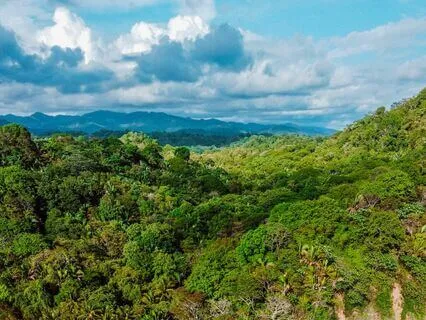 Allow Mind To Remain Withdrawn Inside To Be Happy