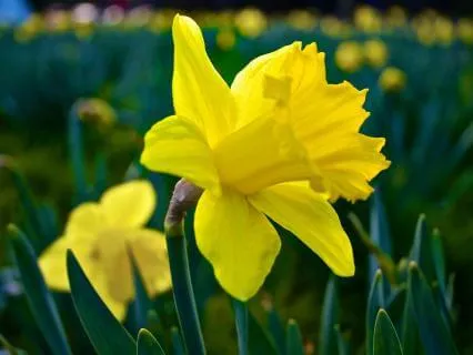 Allow Wisdom To Lead - March 06