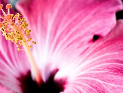 Allow Your Emotions To Arise & Release- Trust Your Strength