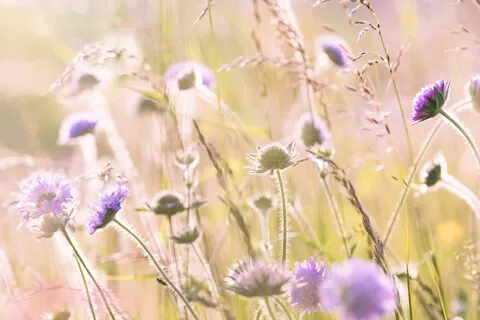 Allow Yourself To Be Whisked Away
