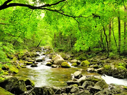 Allow Yourself To Receive