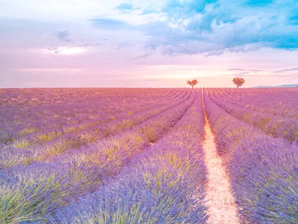 Allowing A Broader Perspective