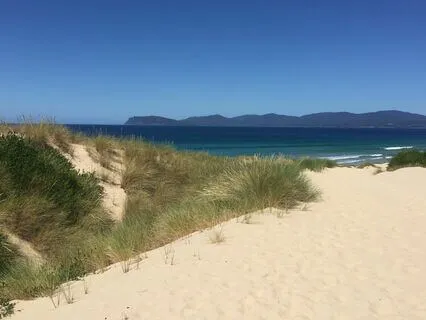 Allowing And Calming