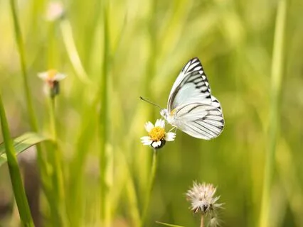 Allowing Change - Transformation Meditation