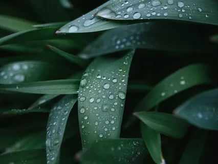 Allowing Distance From Thoughts