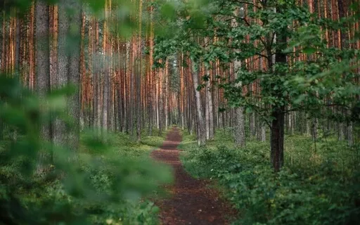 Allowing Excellence To Flow Fully & Freely