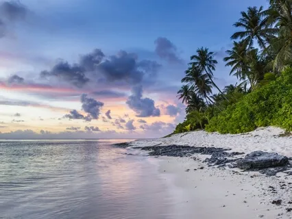 Allowing Experience To Be As It Is